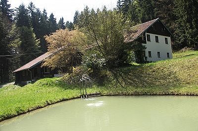 Piso de vacaciones Ausgebaute Scheune im Quellenhof, Bosque bávaro